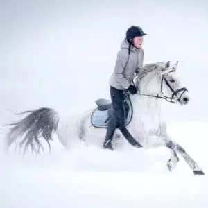 Joni